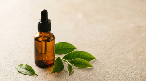 Amber dropper bottle of antioxidant serum beside fresh green-tea leaves.