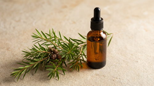 Amber dropper bottle of clarifying oil beside a sprig of tea-tree foliage.