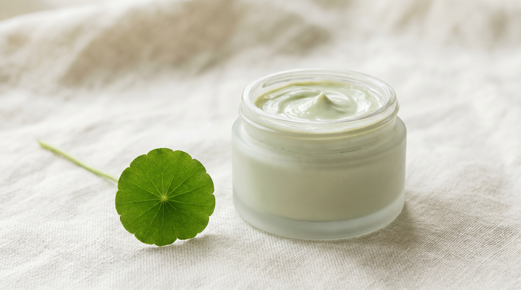 Centella Asiatica (Cica): 12,000-Year-Old Ingredient Meets Clinical Trials
