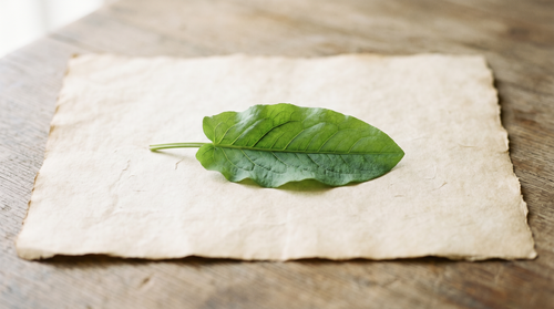 Editorial skincare product photograph — reducing redness naturally.